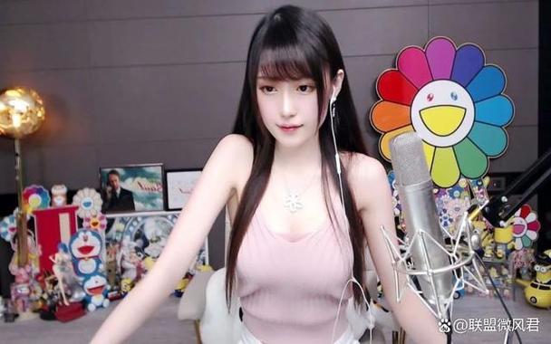 斗鱼溪子版本大全盘点，安装使用技巧必看指南