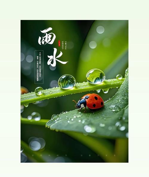雨季官方正式版下载最新版怎么装？三步教你安全安装！