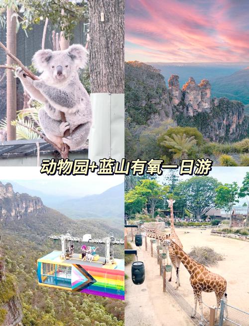 想玩蓝宝石野生动物园汉化版？认准这个下载入口不迷路