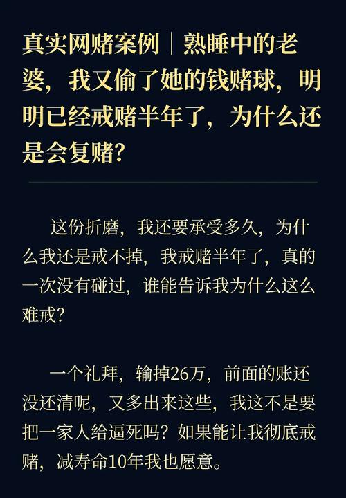 下载他的赌注，她的损失安卓效果怎样？用户真实体验谈！