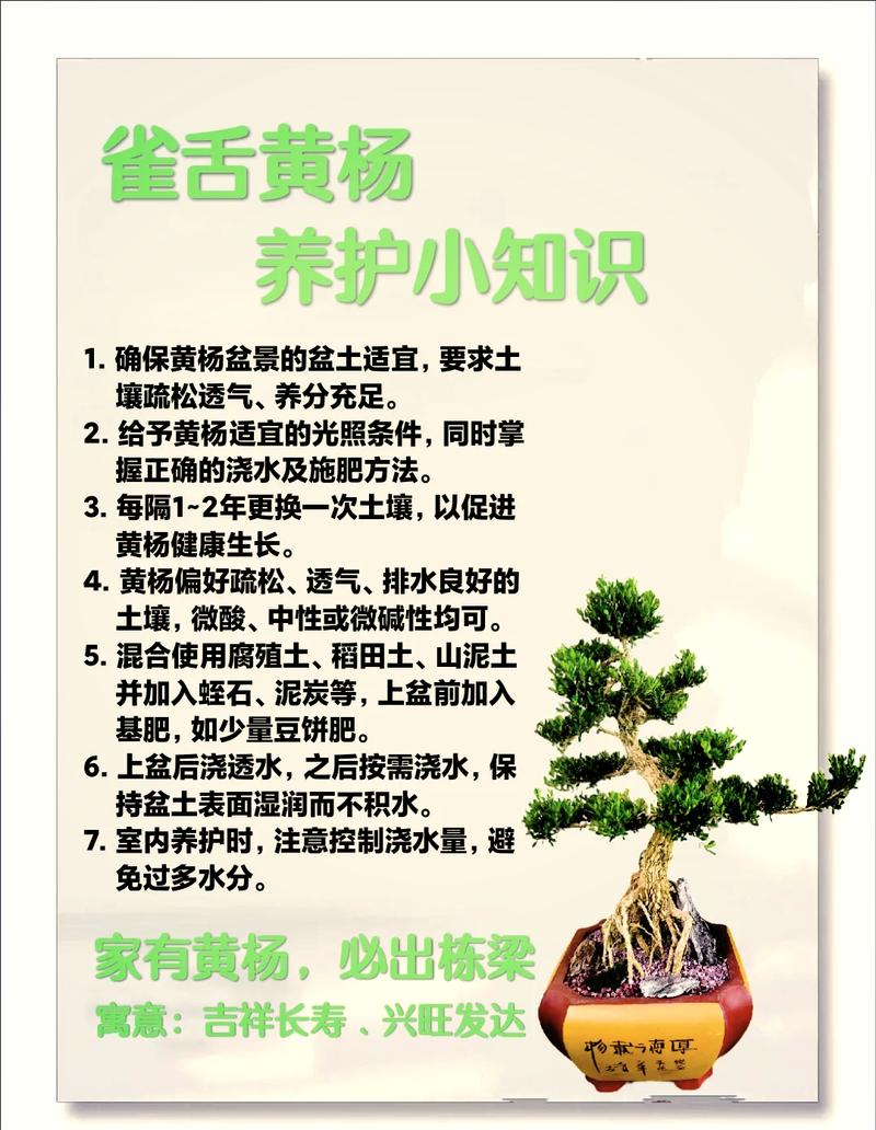如何提高生活的回报杨过游戏分数？实用方法助你提升！