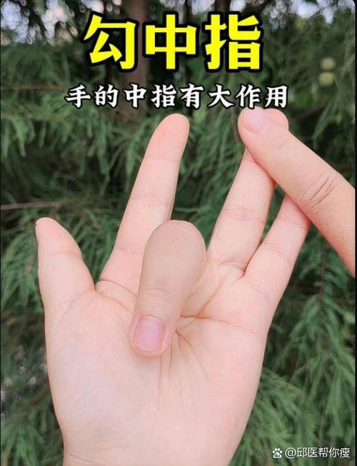 中指通最新版怎么用(简单三步教你快速上手)