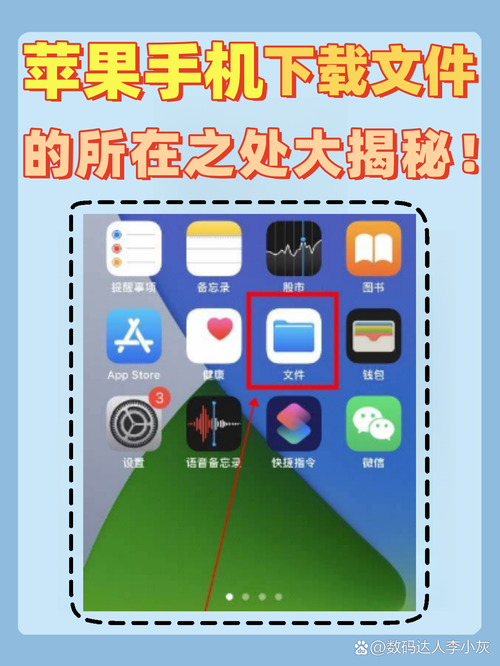 在哪里下载什么是真实的？安全渠道推荐这里！