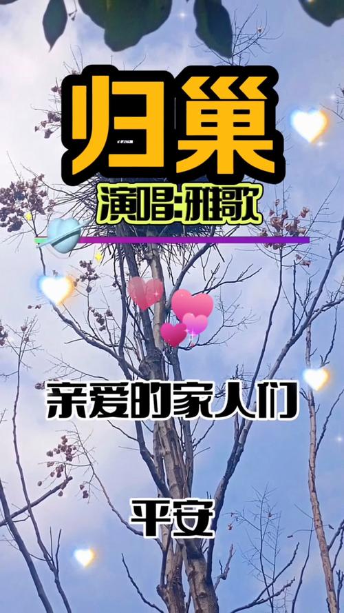 归巢官方最新版和老版区别在哪？升级必看三点分析