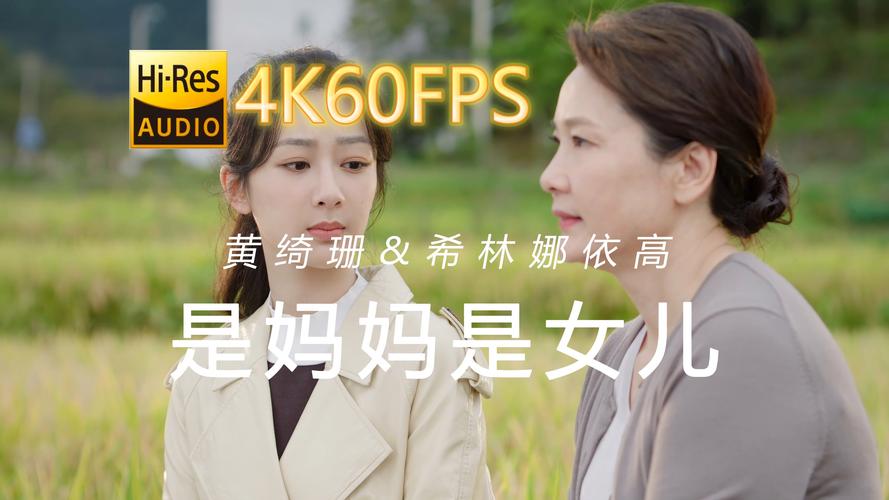 家庭数女官方网站推荐哪些资源？这几类内容最受欢迎