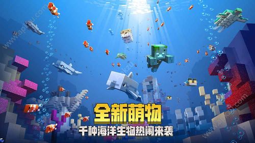 东区V0.5.2官网怎么下载？这入口免费获取安装包