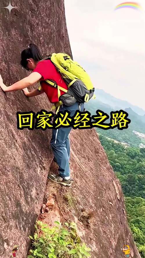 危险的回家路最新为何这么危险？专家揭秘真实内幕！