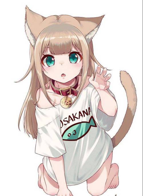 猫娘如何下载出问题？快速修复小技巧！
