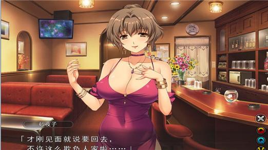 妻中密游戏介绍效果如何？真实玩家体验全面分享！