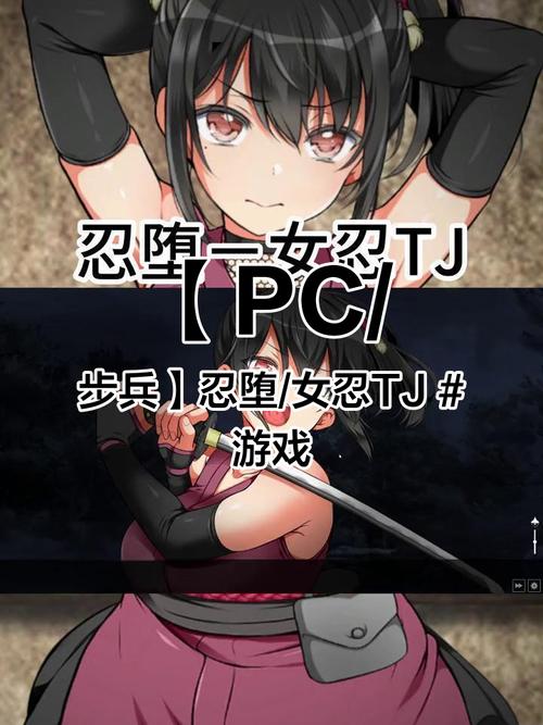 手机能玩忍堕女忍调教汉化版吗？安卓IOS下载教程！