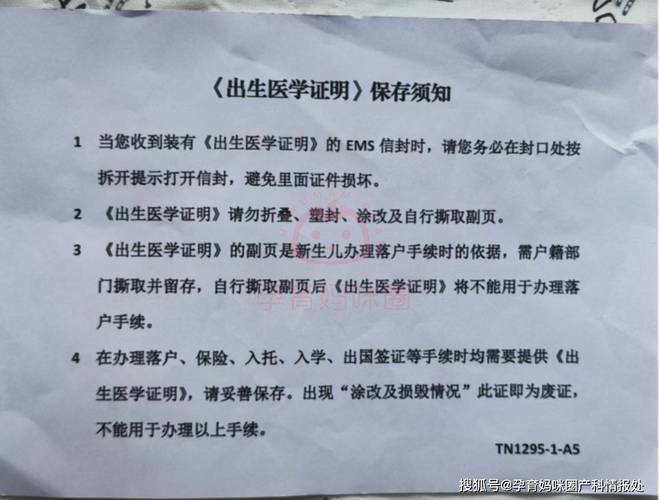 出生证明杨过游戏攻略大全？内含核心技巧快速过关！