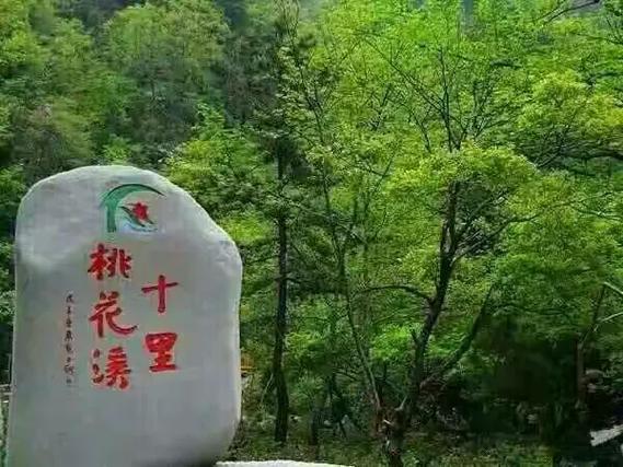 桃花境更新地址怎么找？这三种最新入口快保存