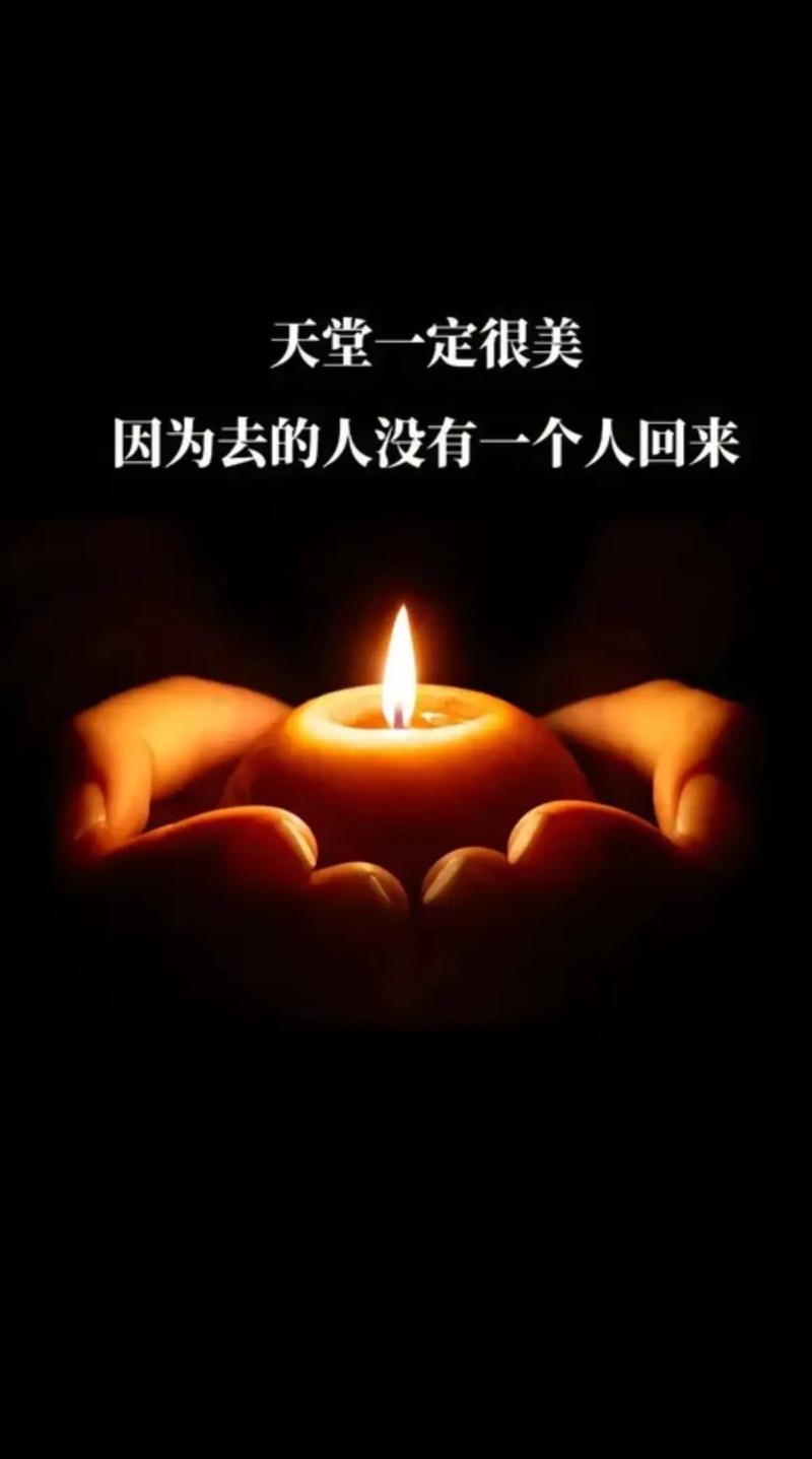 悲伤的天堂最新更新地址 真实有效入口速速收藏