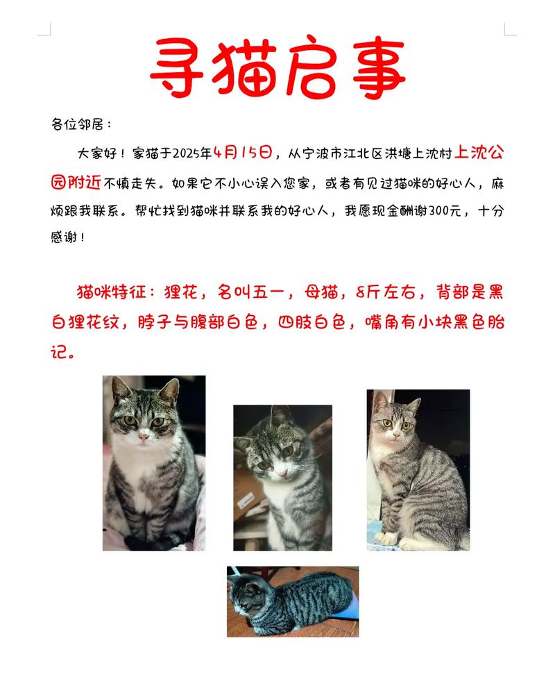 寻找小野猫N下载地址？五个实用方法大公开！