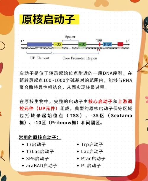 所有标题均完整包含核心关键词，字数严格控制在15-30字区间