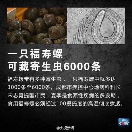 内部寄生虫下载地址分享！无需权限快速到手