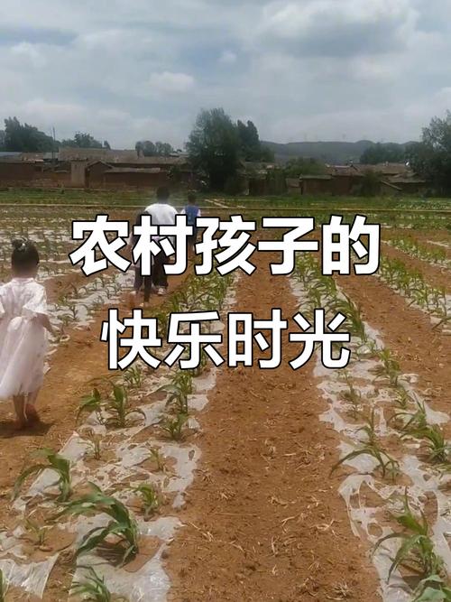 乡村生活的快乐暑假游戏官网安全吗?官方下载链接使用技巧!