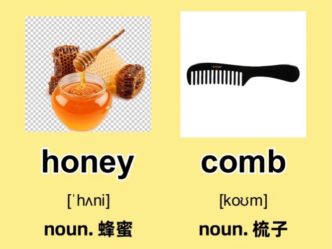 如何认识HoneySun品牌？官方网站故事大揭秘！