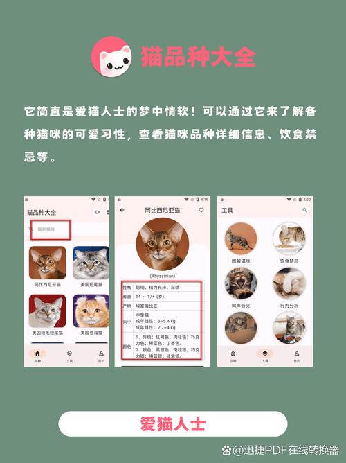 猫研社下载地址怎么选？这三个平台又快又靠谱！