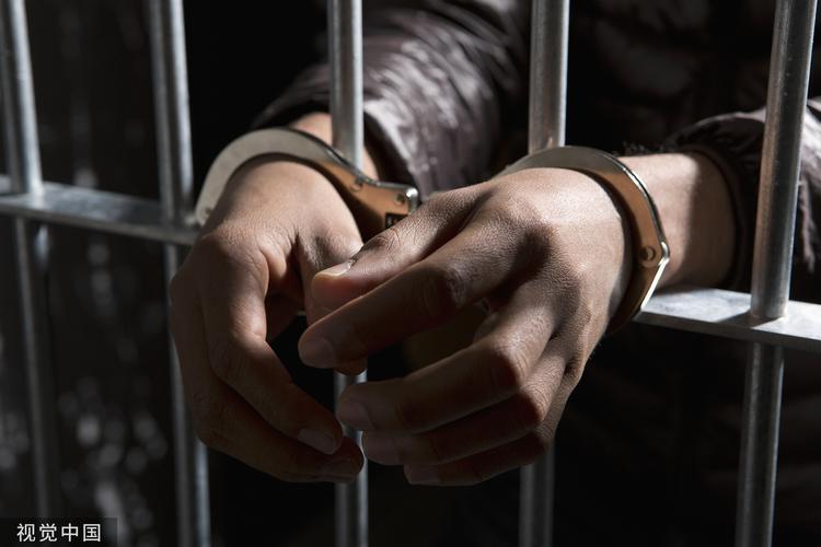 想下载犯罪吸引力？手机电脑不同下载方式详解！
