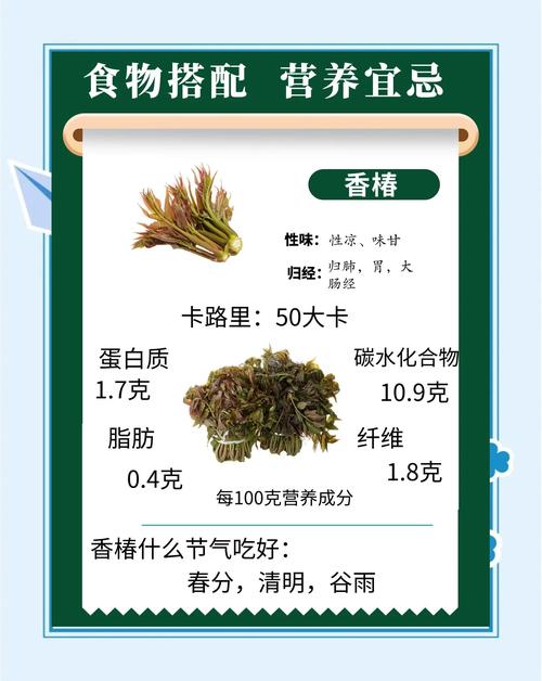 香椿edge完整在哪下载？最新免费完整版下载地址