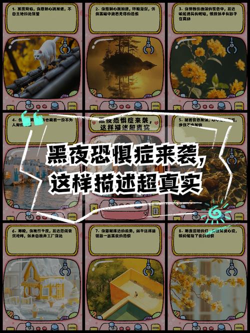 黑夜恐怖症2官网评价如何？(真实玩家体验揭秘)
