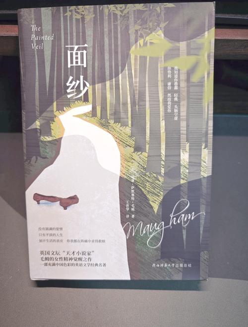 揭开未知的面纱更新地址
