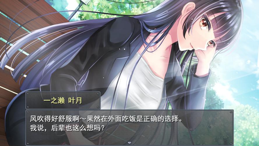 职场女友带回家绅士游戏常见问题？解决技巧一步搞定！