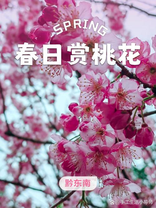 桃花境在哪下载最安全？认准官方渠道避免中招