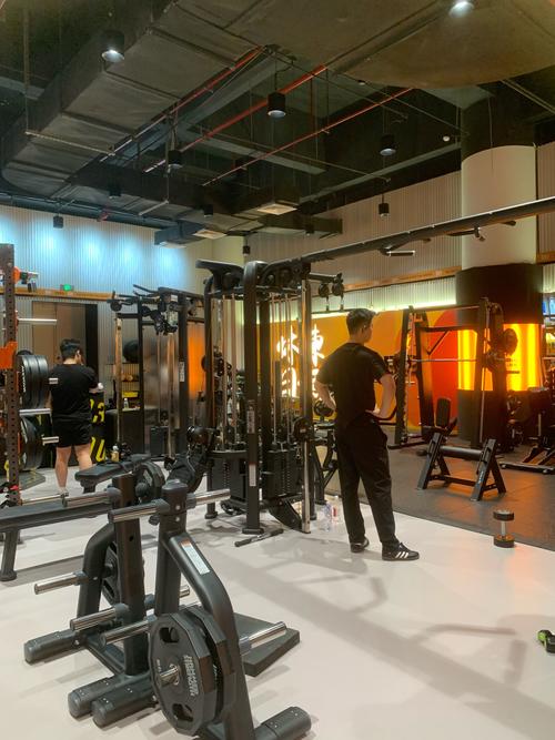 哪里看禁欲健身中心最新版本(下载教程全解析)