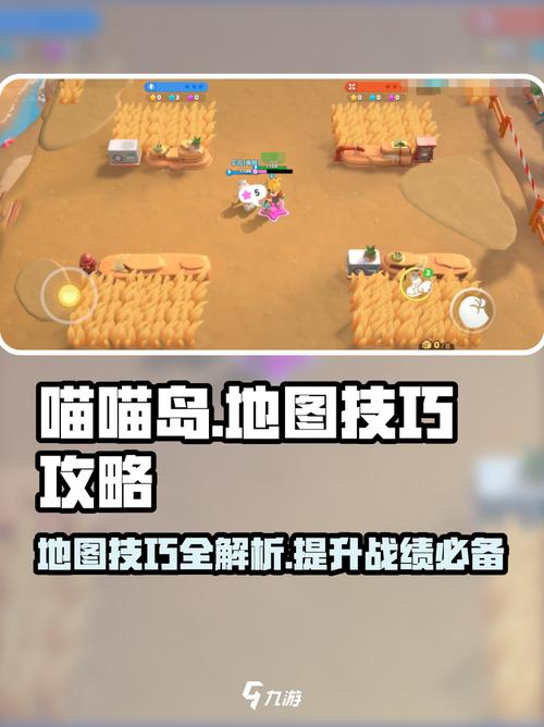 新手如何玩喵喵岛3版本大全？实用攻略入门技巧分享！
