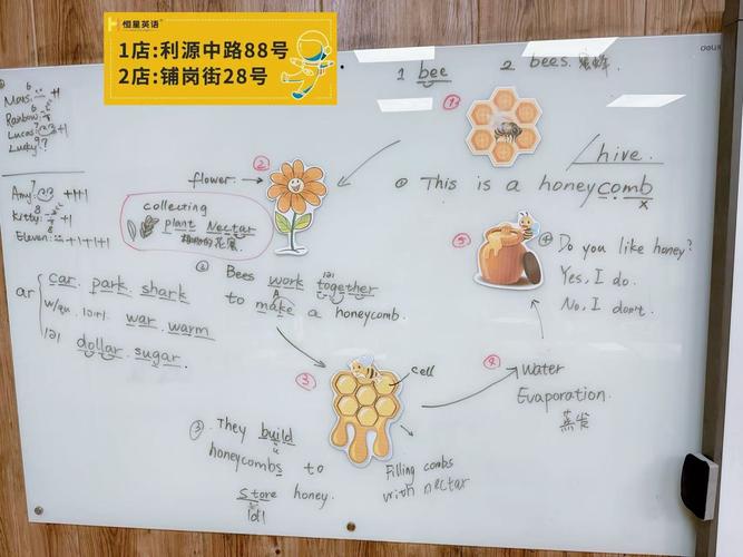 如何认识HoneySun品牌？官方网站故事大揭秘！