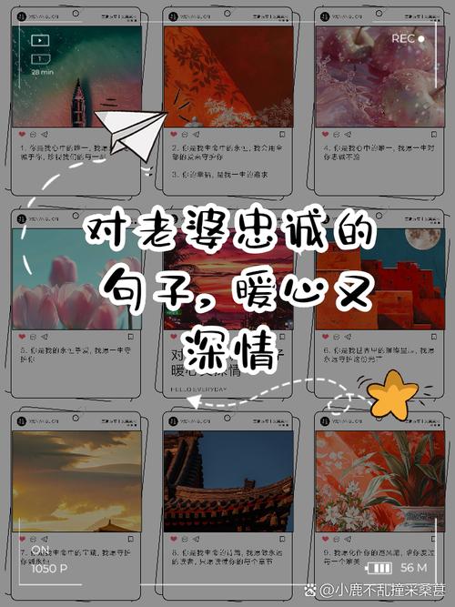 忠诚的妻子官网效果怎样?(专家教你快速上手方法)