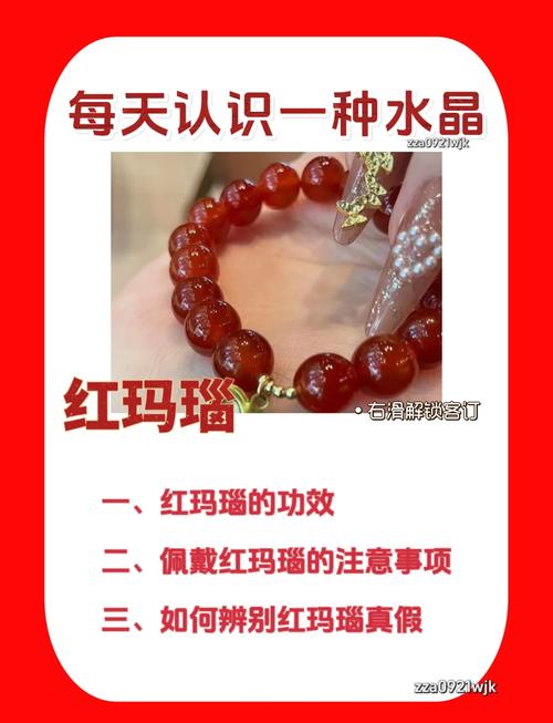 真红玛瑙官网功能有哪些特色？核心介绍新手必看指南！