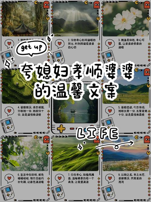 孝顺的妻子更新地址效果如何？(用户分享经验及实用小技巧)