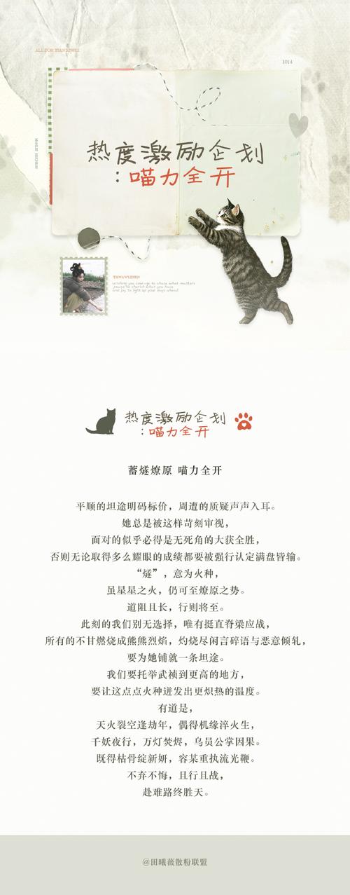 猫研社最新内容有哪些?这几个精彩更新别错过!