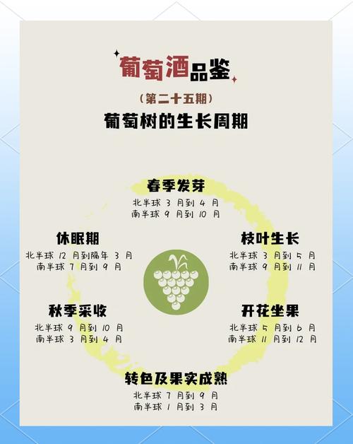 如何下载葡萄成熟时汉化版新内容？安装教程一网打尽！