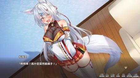 与狐妖的同居生活游戏下载
