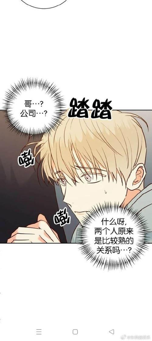 烂漫最新版本常见问题怎么办？快速解决方法全汇总！
