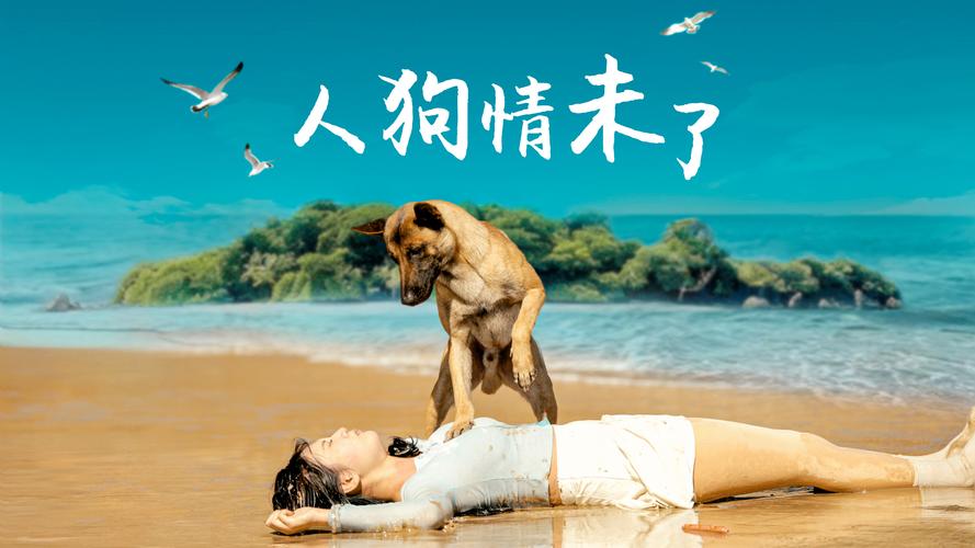 人狗情未了如何下载到电脑？操作教程全解析！