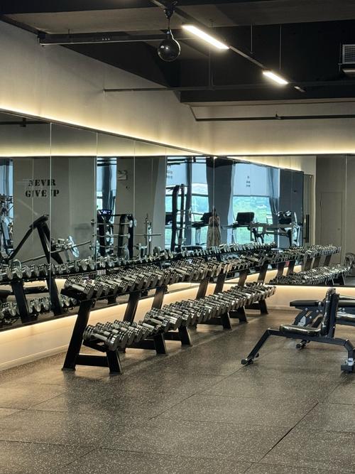 哪里看禁欲健身中心最新版本(下载教程全解析)