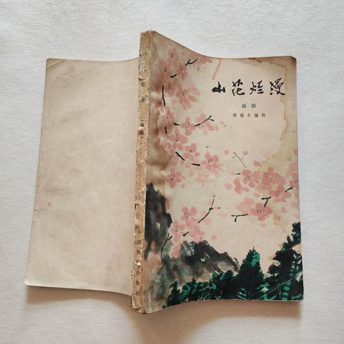 烂漫最新版本是多少？用户常见问题实用解答