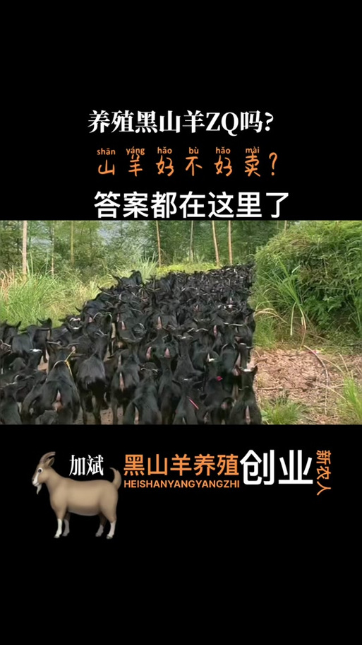 黑山羊之夜最新讲了什么？对比前作更好看！