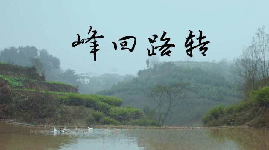 峰回路转版本大全怎么用？新手操作教程速看！