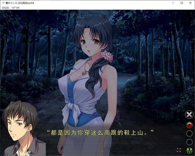 妻中密安卓汉化在哪下载？手把手教你获取安装包