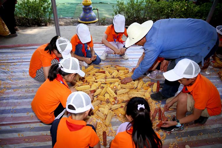 乡村生活的快乐暑假游戏官网安全吗?官方下载链接使用技巧!