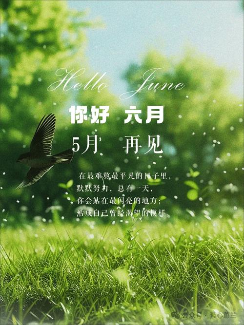 下载你与我的六月在哪？新手必看安装步骤详解！