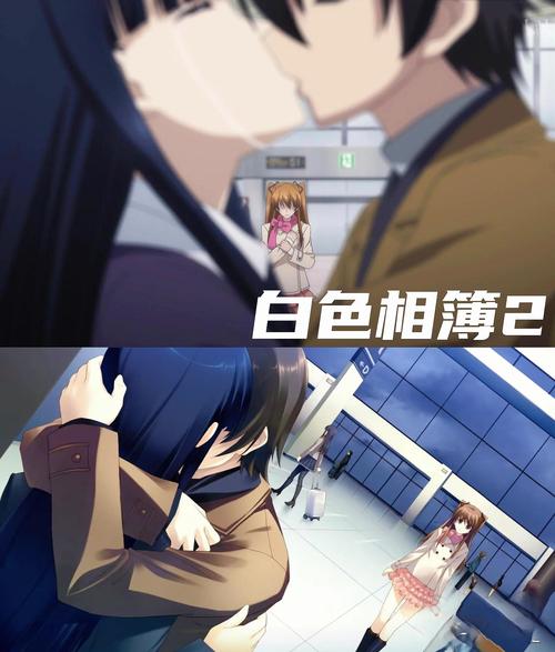 白色相簿合集最新版有什么看点？全面解析剧情和角色