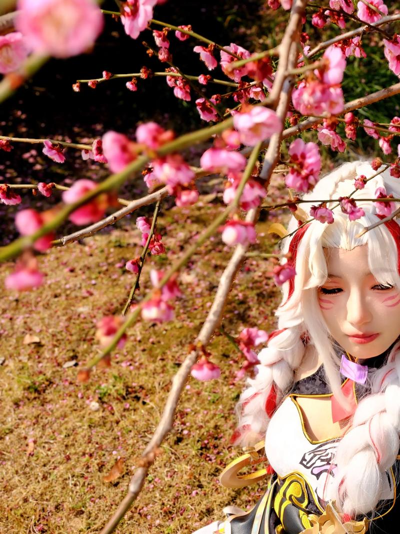 coser3杨过游戏攻略大全！老玩家分享隐藏任务技巧