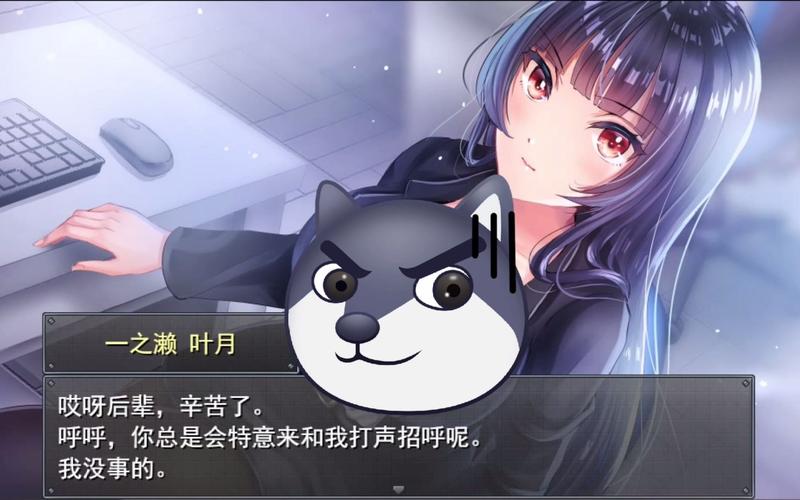 职场女友带回家官网如何下载？手机安装指南新手必看！